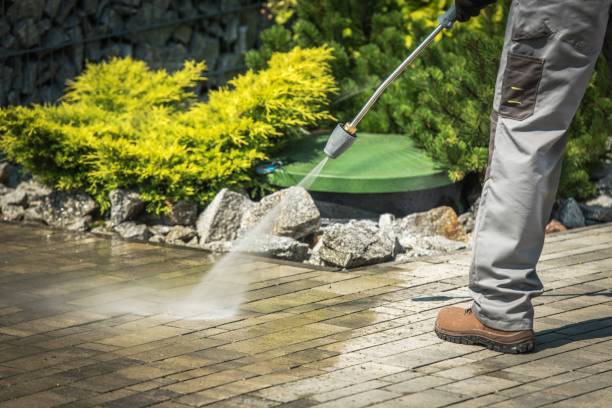 Best Driveway Pressure Washing  in Marshfield, WI